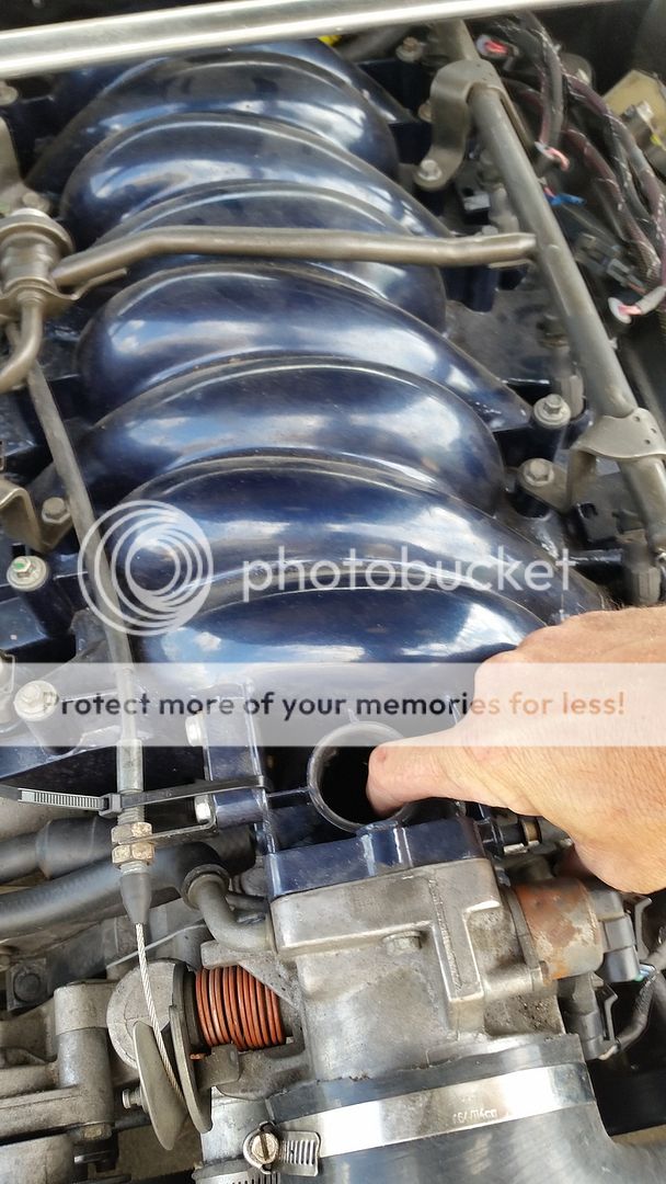 backfire in intake LS1TECH Camaro and Firebird Forum Discussion